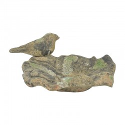 Bain oiseaux mousse s