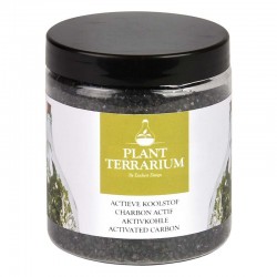 Charbon actif pour terrarium