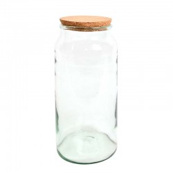 Bouteille Terrarium Semi...