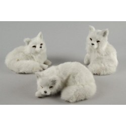 Renard blanc imitatation...