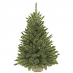 Sapin Forest Frosted Vert...