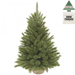 Sapin Forest Frosted + Jute...