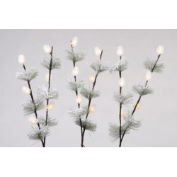 Branche pom pin 70c 18l mar...