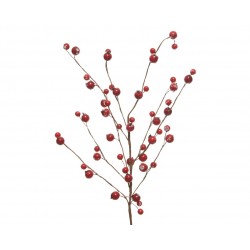Branche Baie/Neige Rouge En...