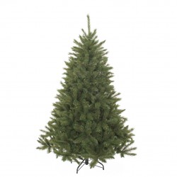 Sapin Bristlecone Vert En...