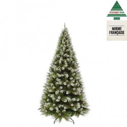 Sapin Pomme De Pin...