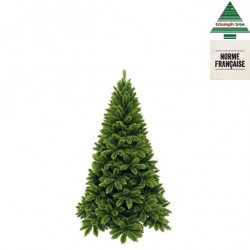 Sapin Tsuga Vert En Pvc...