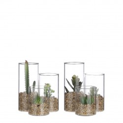 Succulente ø11-H13 vert