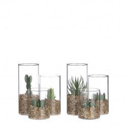 Succulente ø11-H13 2ass vert