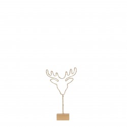 Tête de cerf pile...