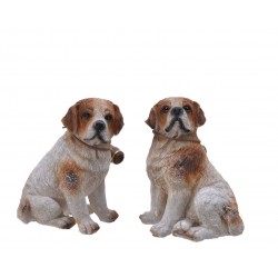 St.bernard a/tonneau assis...