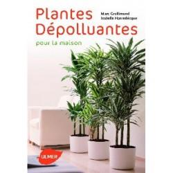Plantes depolluantes