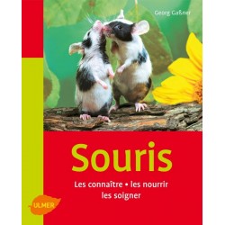 Souris (les)