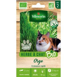 VILMORIN HERBE À CHAT BIO...