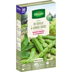 VILMORIN FÈVE À Longue...