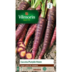 VILMORIN CAROTTE Purple...