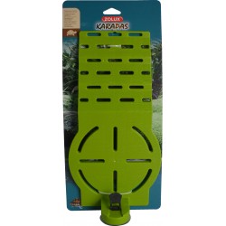 KARAPAS Plage Tortue Vert