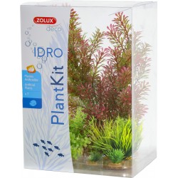 DÉCO Plant kit idro plantes...