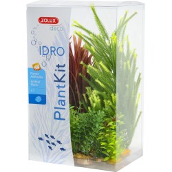 DÉCO Plant kit idro plantes...