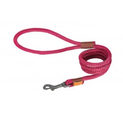 IMAO HYDE PARK Laisse...