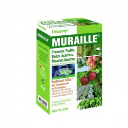 DÉCAMP MURAILLE PSYLLES...