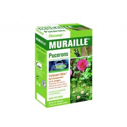 DÉCAMP MURAILLE PUCERONS...