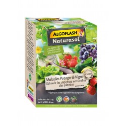 Maladies legume sdn...