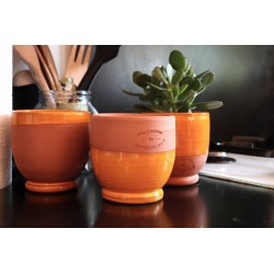Pot CACTEES Terre cuite...