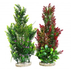 Décor aqua plantes...