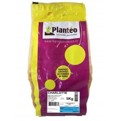 ACTIGERME Pomme de terre...