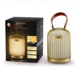 Diffuseur Brume De Parfum...