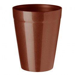 Pot jasmin glitter orchid...