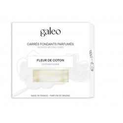 Carrés Fondants Parfumés...