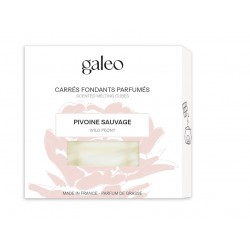 Carrés Fondants Parfumés...