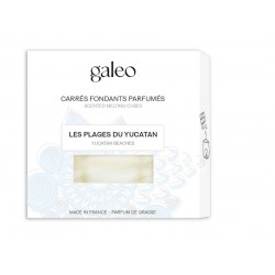 Carrés Fondants Parfumés...