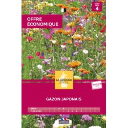 Graines Gazon Japonais 10M2...