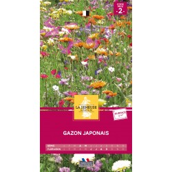 Graines Gazon Japonais 3M2...