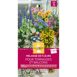 Graines Mélange De Fleurs...