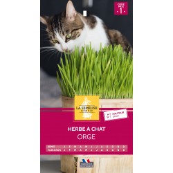 Graines Herbe À Chat -LA...