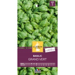 Graines Basilic Grand Vert...