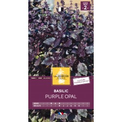 Graines Basilic Purple Opal...