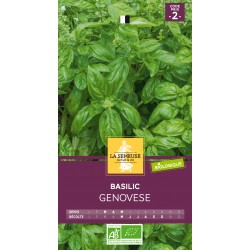 Graines Basilic Genovese Ab...