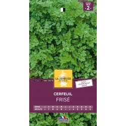 Graines Cerfeuil Frisé -LA...
