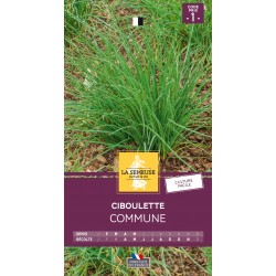 Graines Ciboulette Commune...