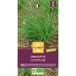 Graines Ciboulette Commune...