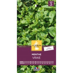 Graines Menthe Vraie -LA...