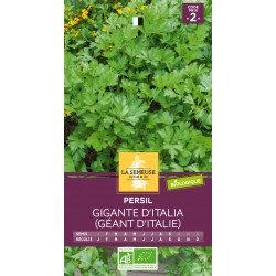 Graines Persil Gigante...