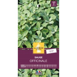 Graines Sauge Officinale...