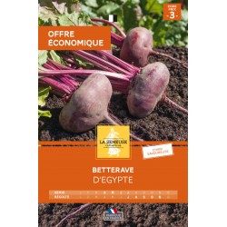 Graines Betterave D'Egypte...