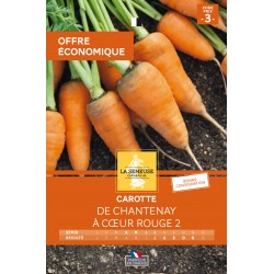 Graines Carotte De...